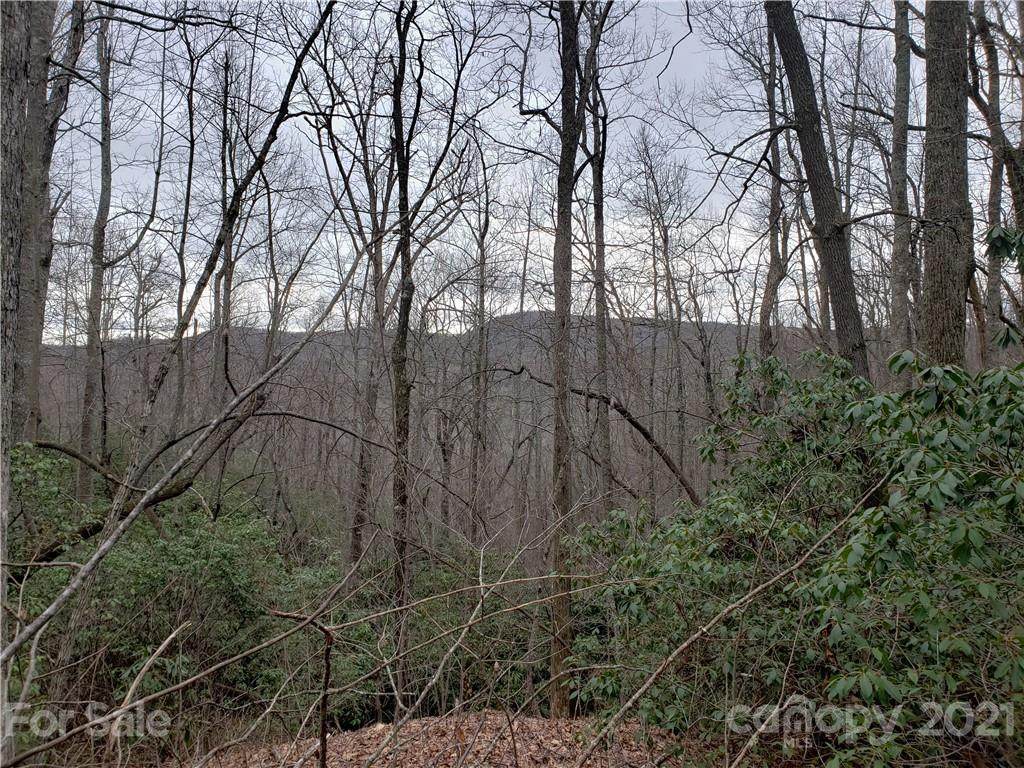 0 High Peak Road - Photo 1