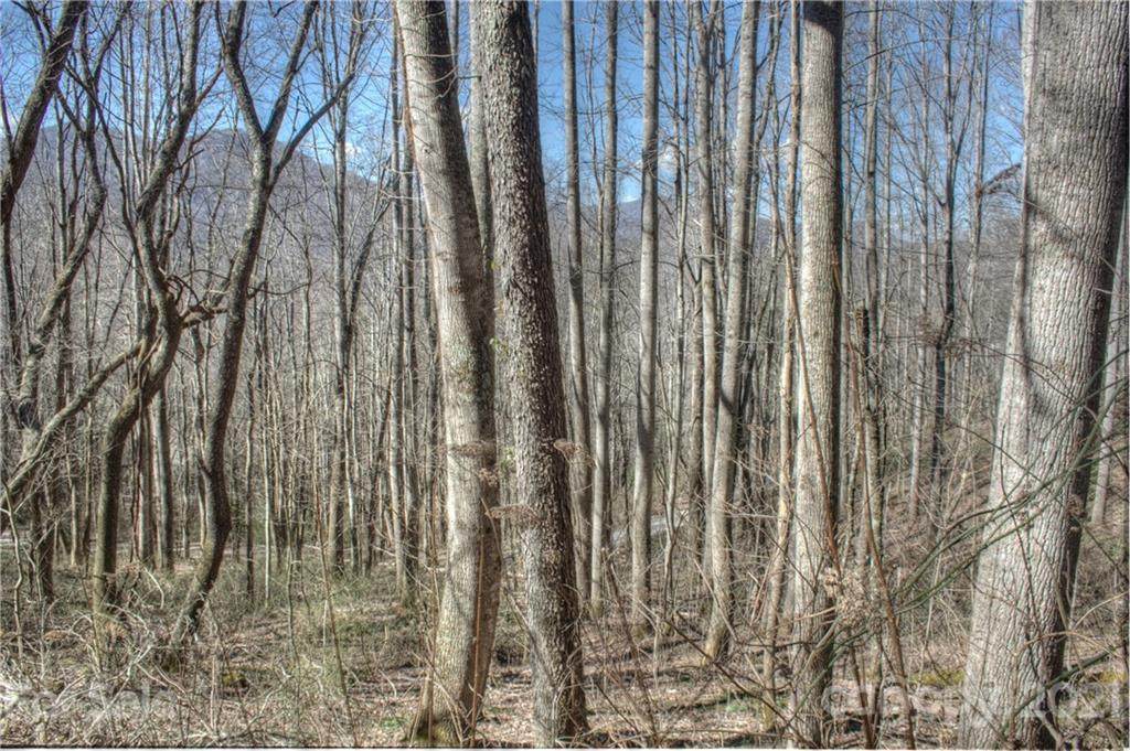 00 Shiners Trail - Photo 1