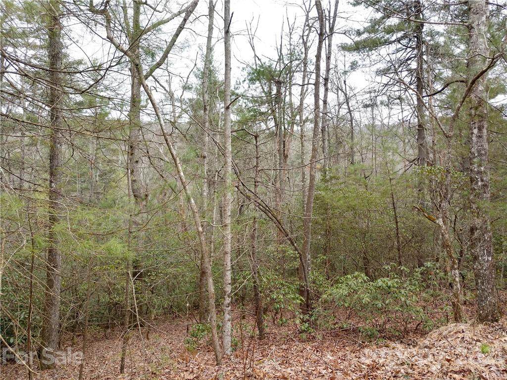 002 Cardinal Haven Lane - Photo 1