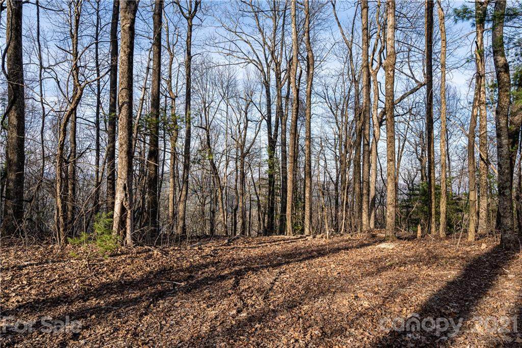 360 Chestnut Ridge - Photo 1