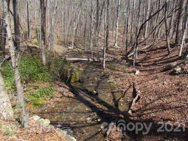 00 Shadow Creek Lane - Photo 1