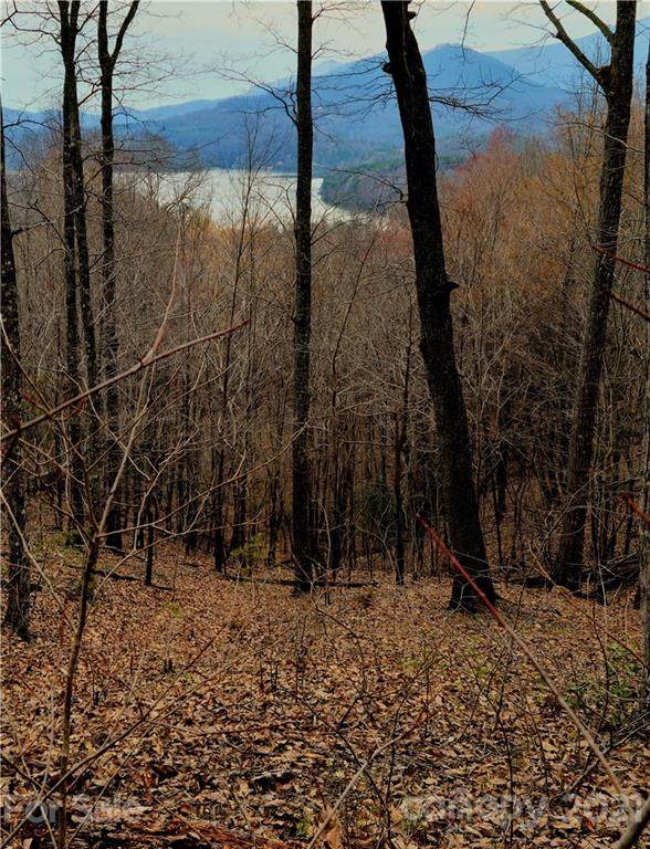 0 Hawks Nest Trail - Photo 1