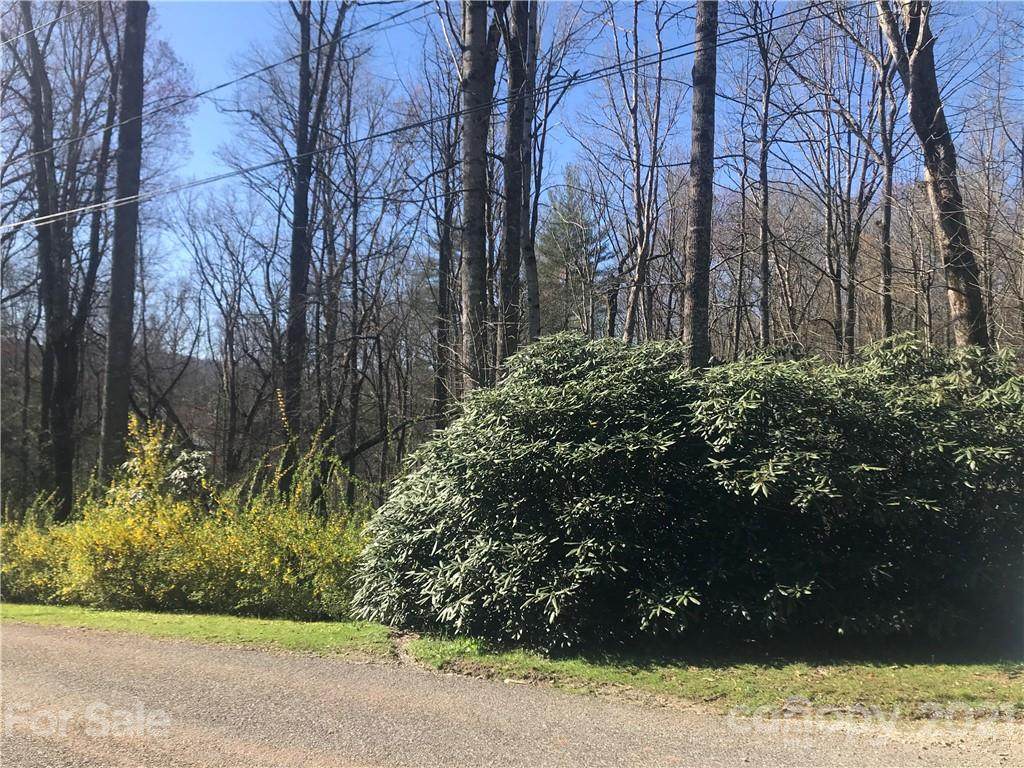 Lot 9 Barberry Circle - Photo 1