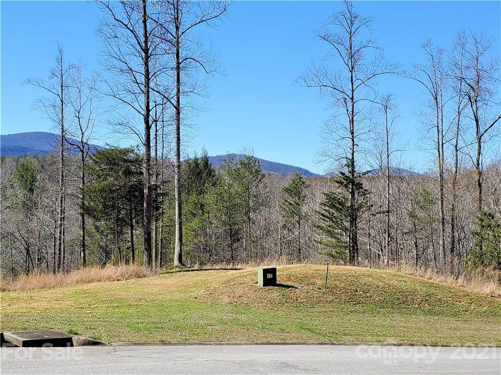 0 Mountain Parkway - Photo 1