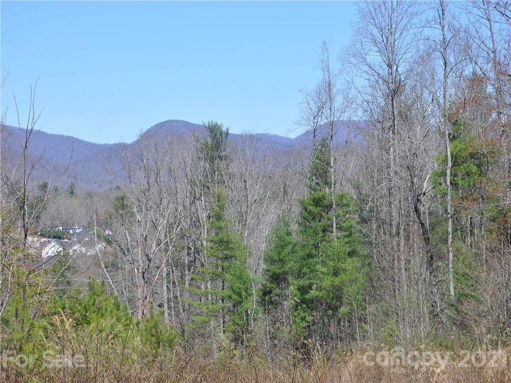 36.35 ACRES Half Moon Trail - Photo 1