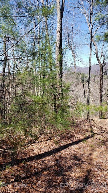 5 Running Fox Road - Photo 1