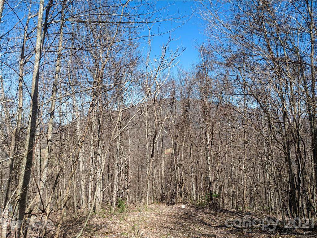 TBD Elliotts Loop - Photo 1