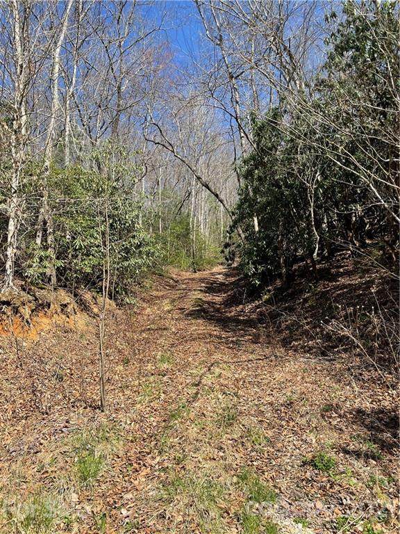 Lot #43 Moonlight Drive - Photo 1