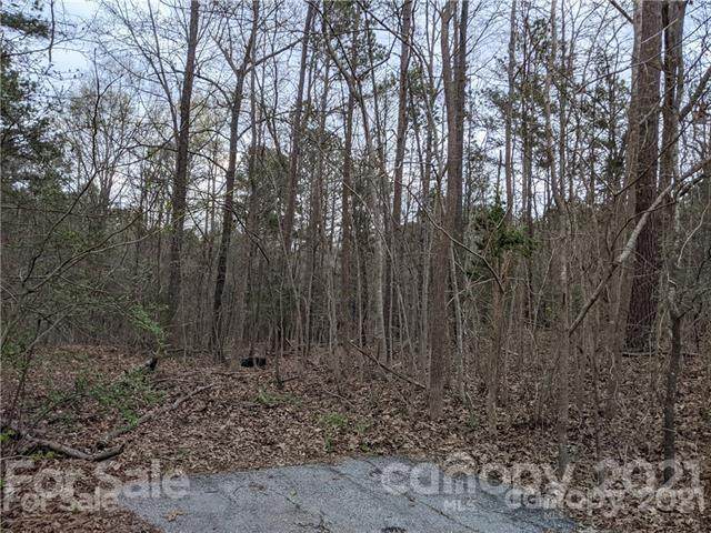 0 Driftwood Lane - Photo 1