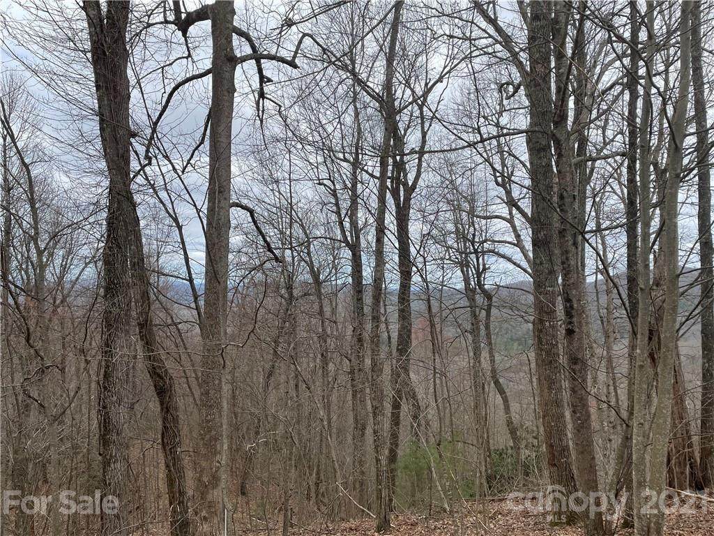 785 Faircrest Lane - Photo 1