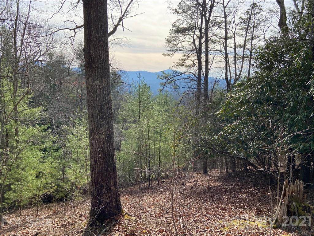 176 Winterberry Drive - Photo 1