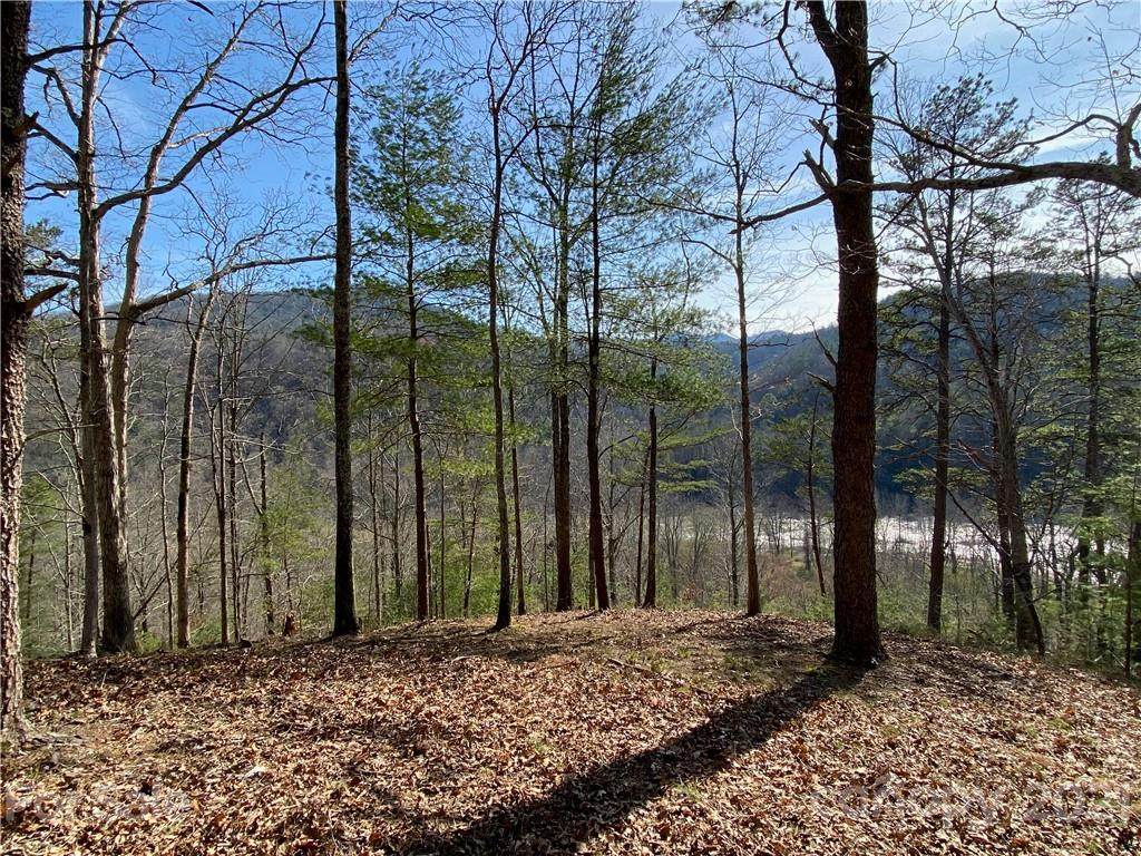 46 French Broad Parkway - Photo 1