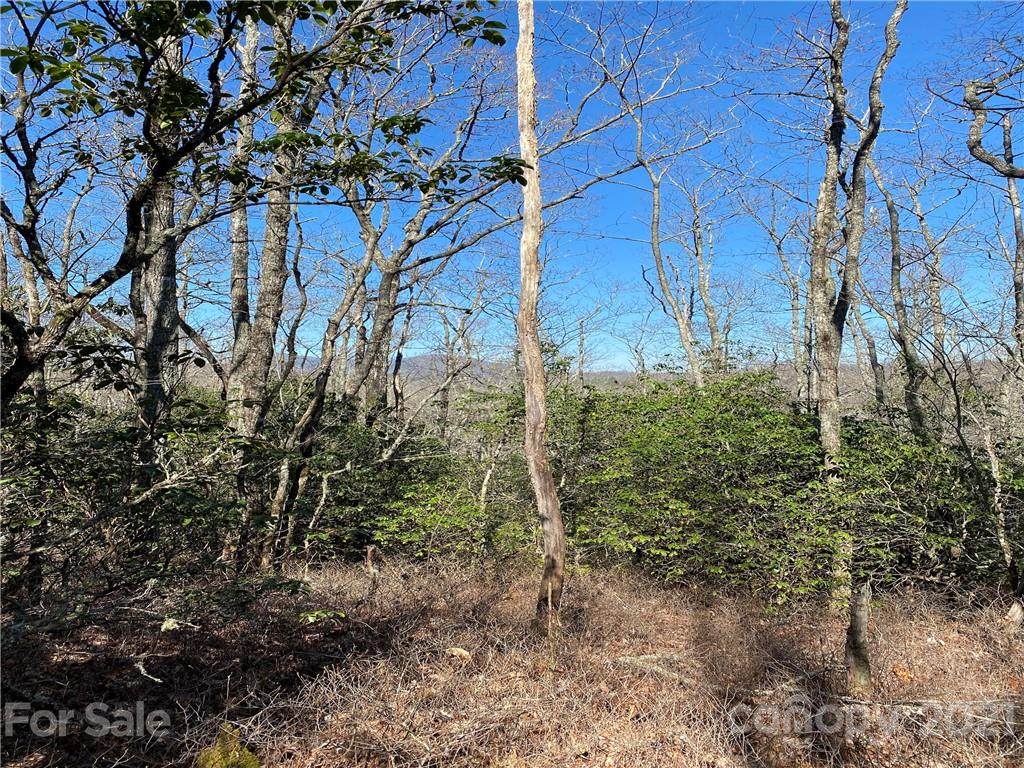 Off Golden Road - Photo 1