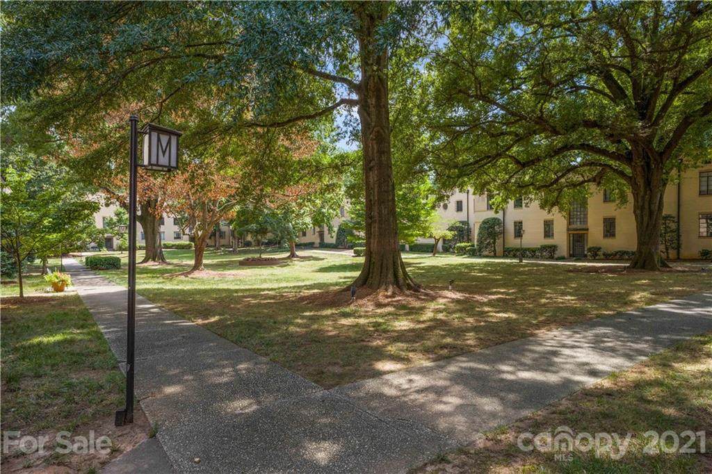 1121 Myrtle Avenue - Photo 1