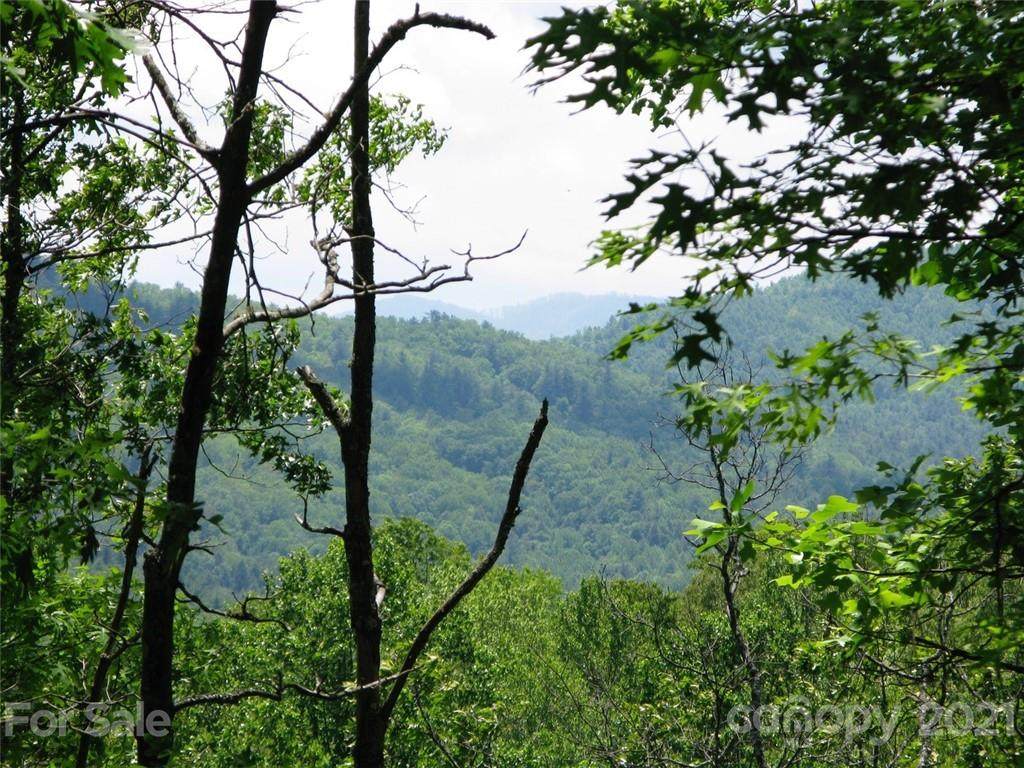 330 Raccoon Run - Photo 1