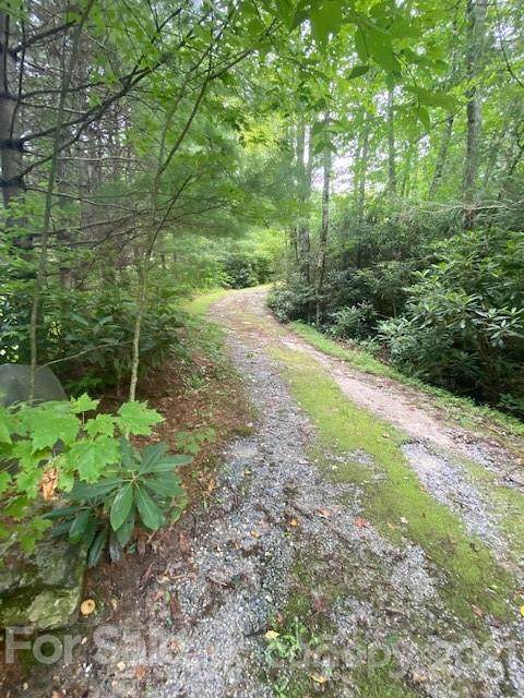 227 Horseshoe Cove Road - Photo 1
