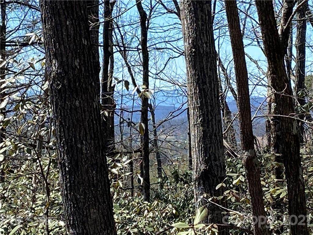 2196 Lamb Mountain Road - Photo 1
