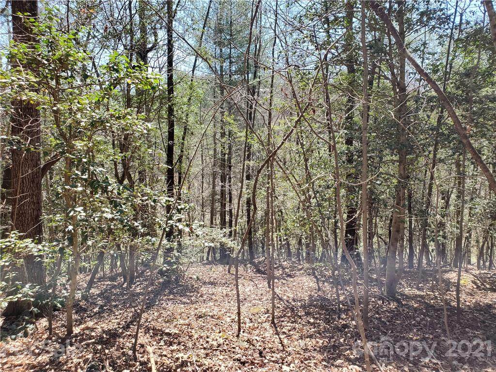 00 High Rock Road - Photo 1