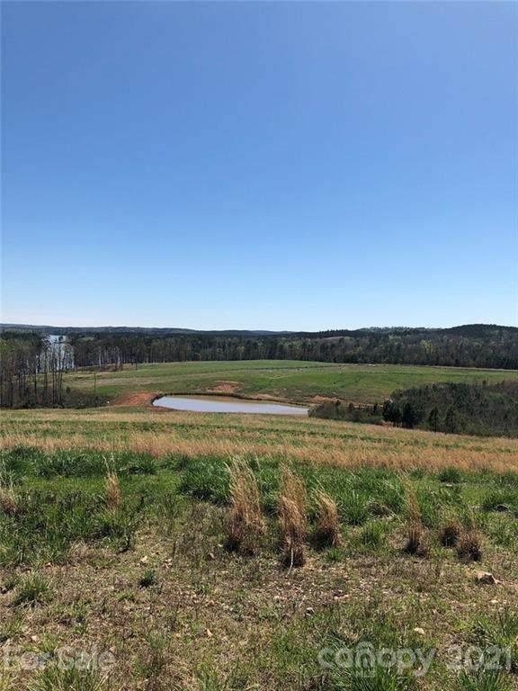 00 Clark Mountain Road - Photo 1