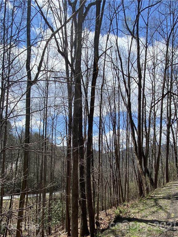 217 High Vista Drive - Photo 1