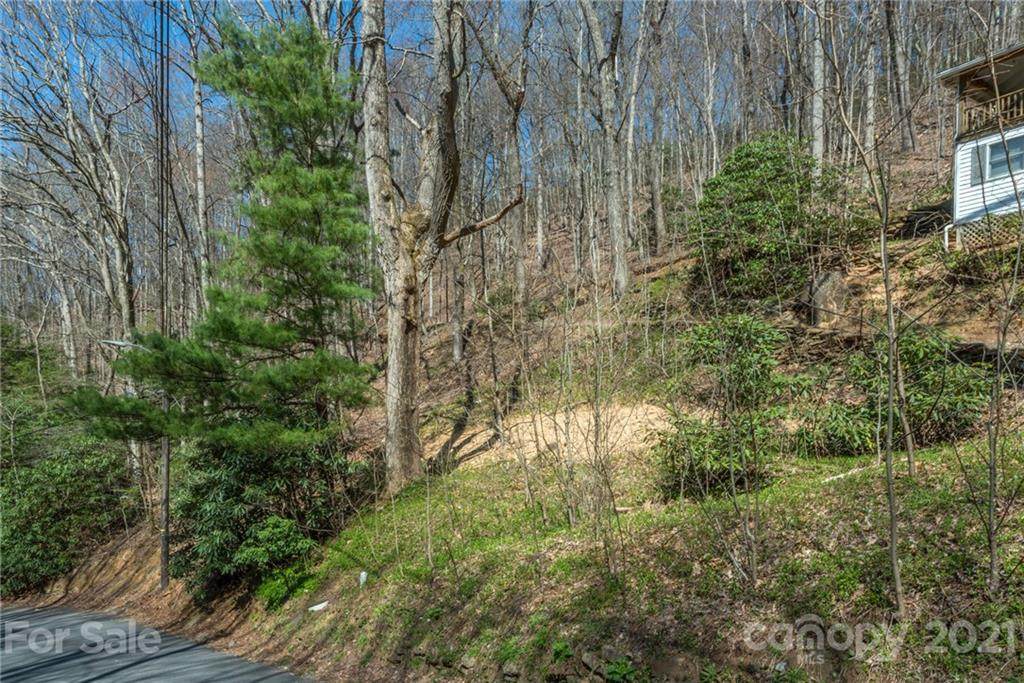 TBD Appalachian Way - Photo 1