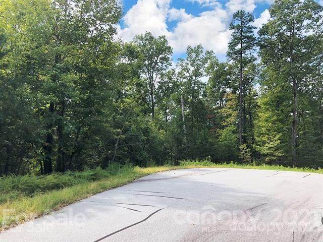 V/L Cove Forest Road - Photo 1