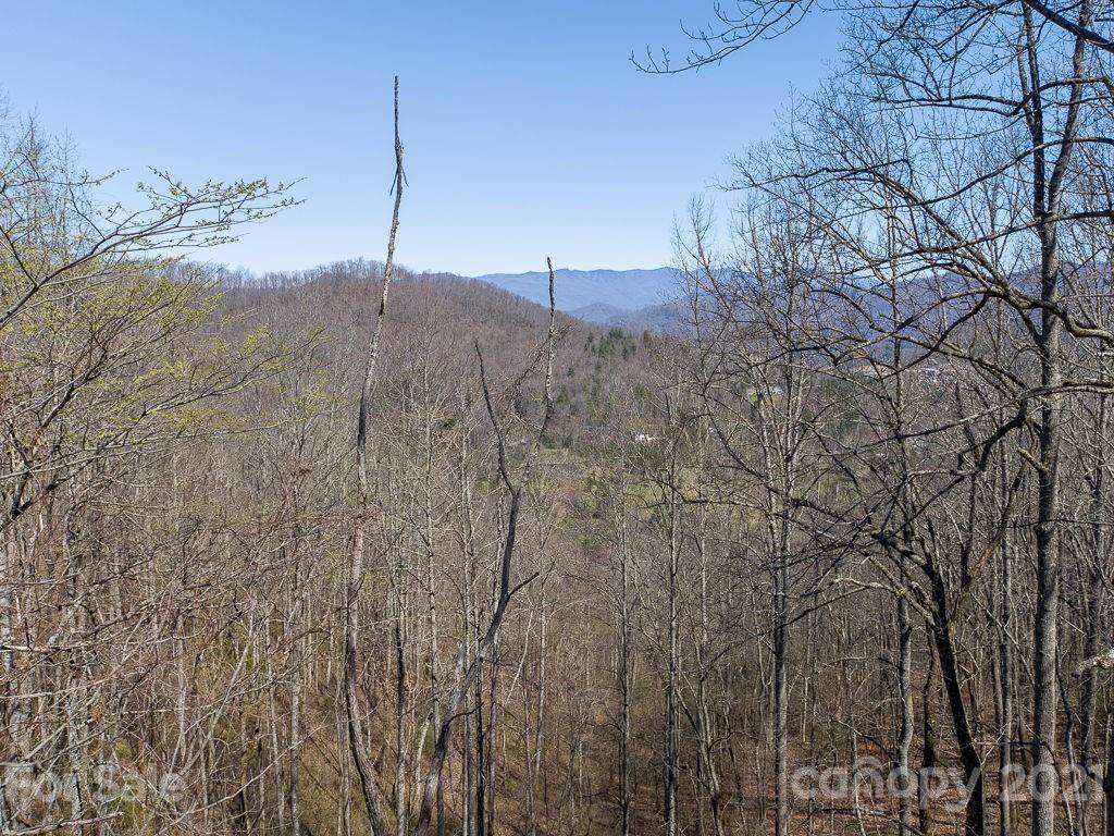 Lot 10 Cave Springs Road - Photo 1