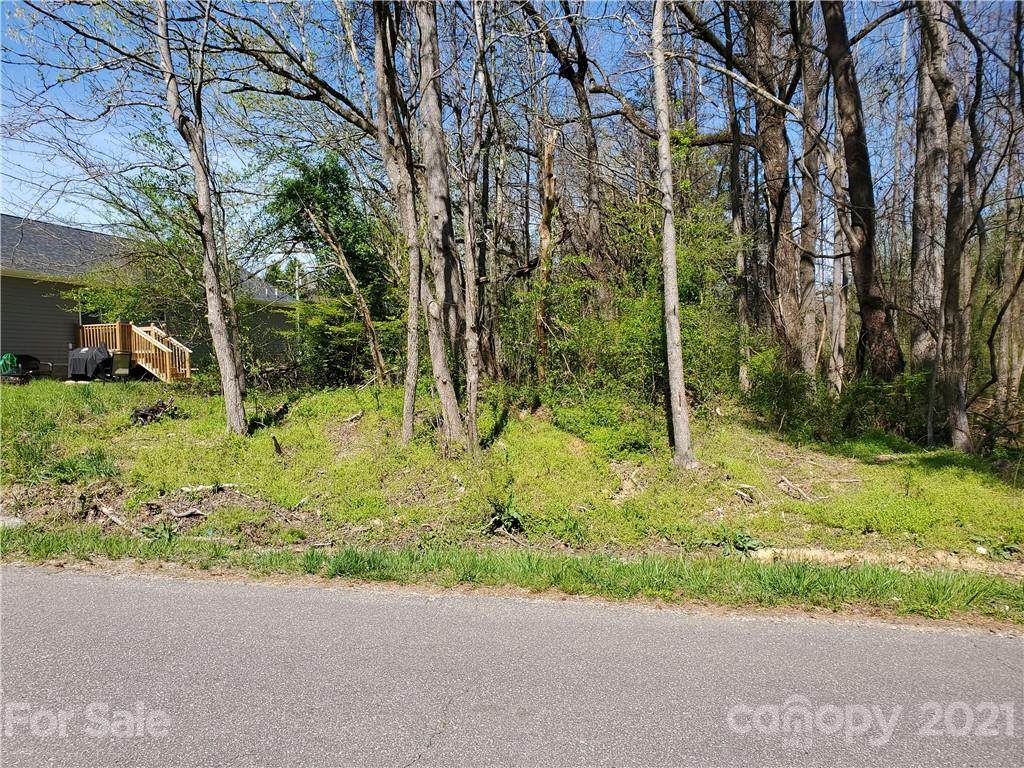 Lot 2-3 Beauty Street - Photo 1