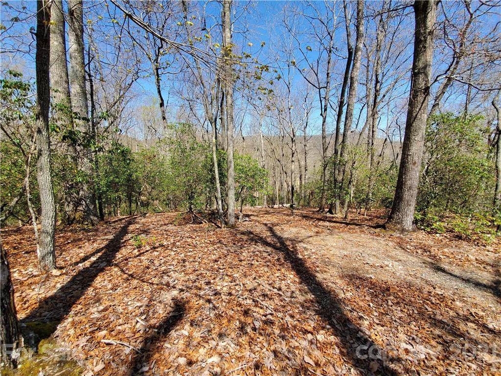 2008 Song Breeze Trail - Photo 1