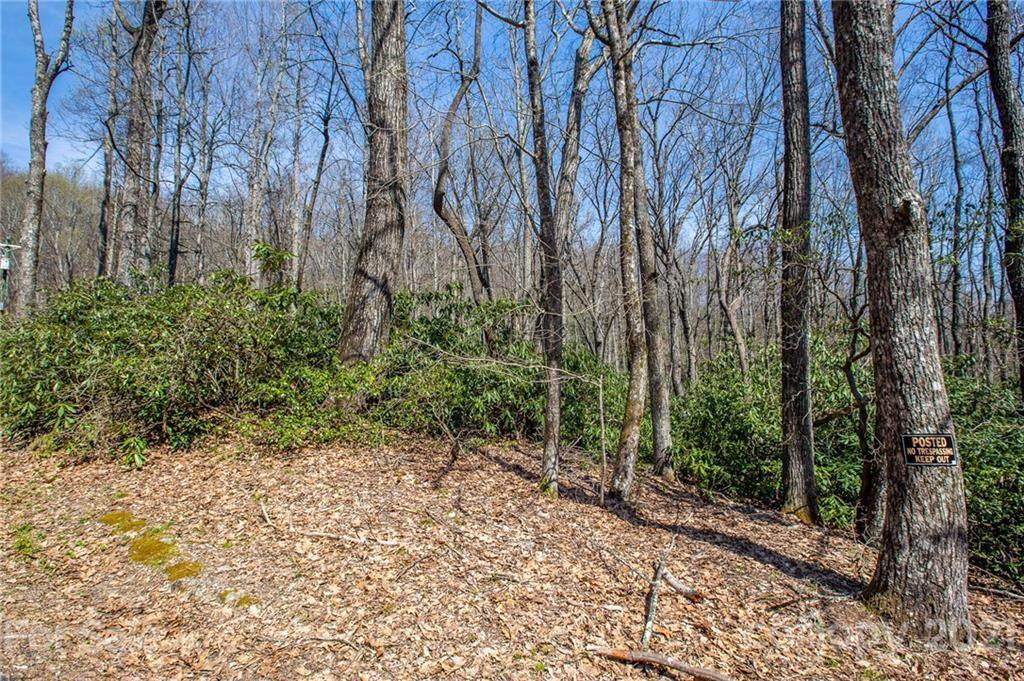999 Bear Rock Road - Photo 1