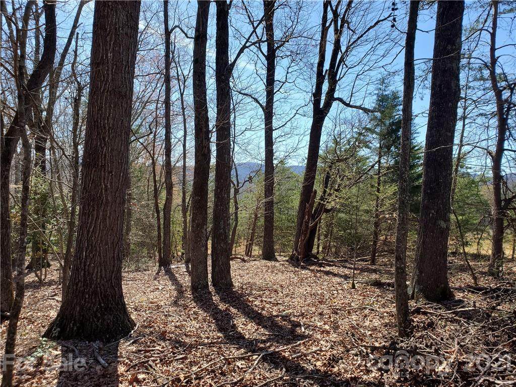 000000 High Rock Road - Photo 1
