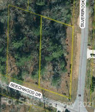 0 Silverbrook Drive - Photo 1