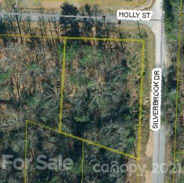0 Silverbrook Drive - Photo 1