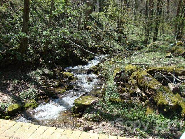 00 Tumbling Fork Road - Photo 1
