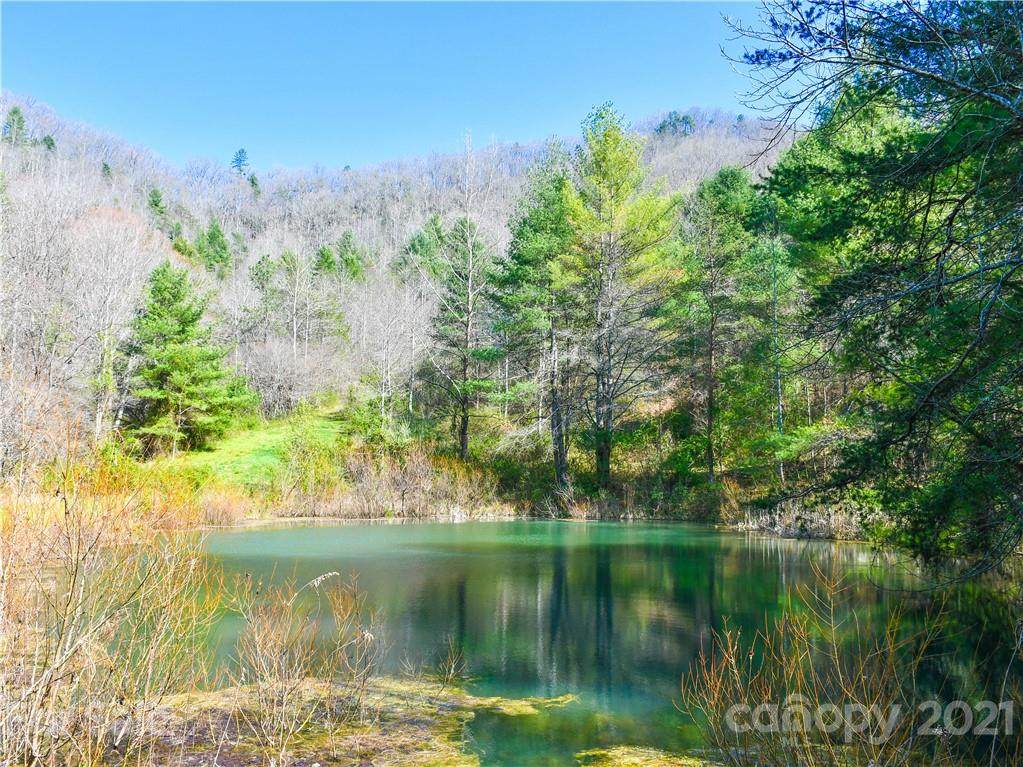 353 Sandy Mush Creek Road - Photo 1