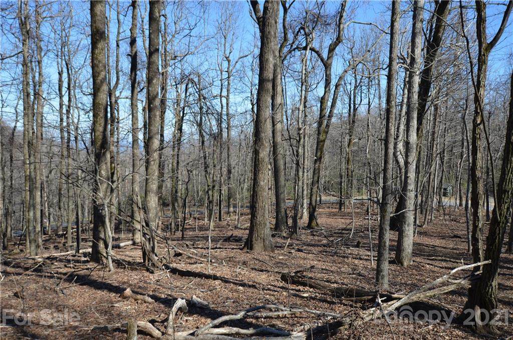 0 Riva Ridge - Photo 1
