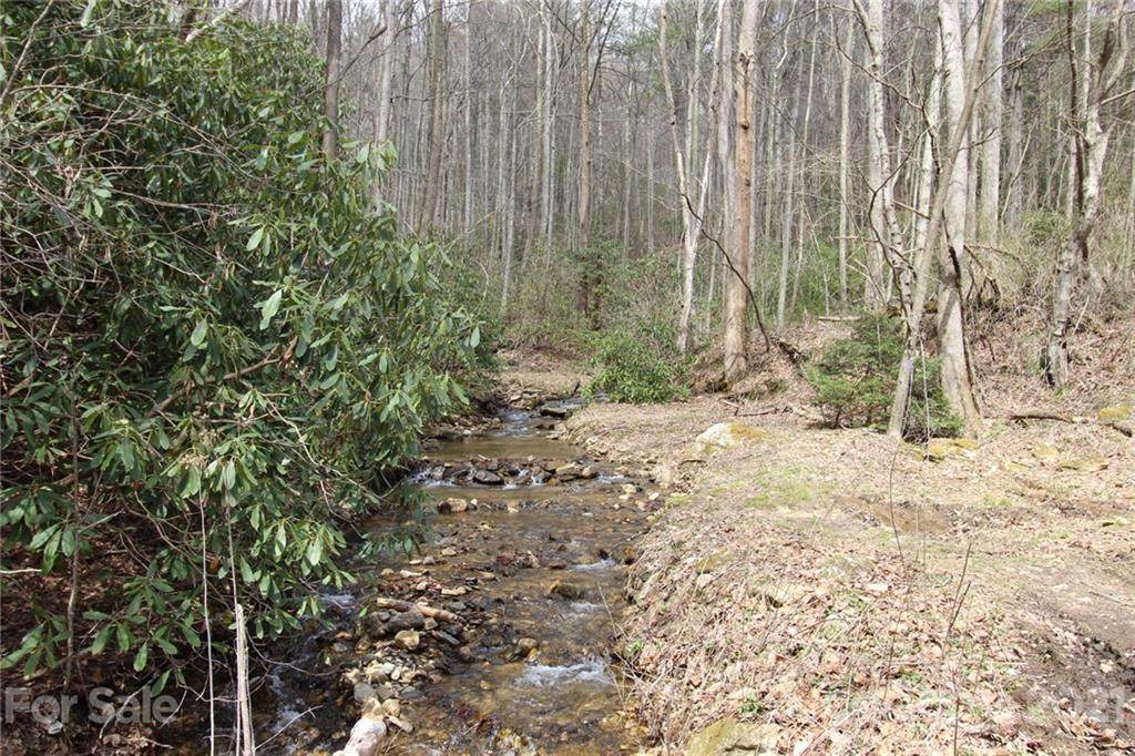 000 Patton Ridge Road - Photo 1