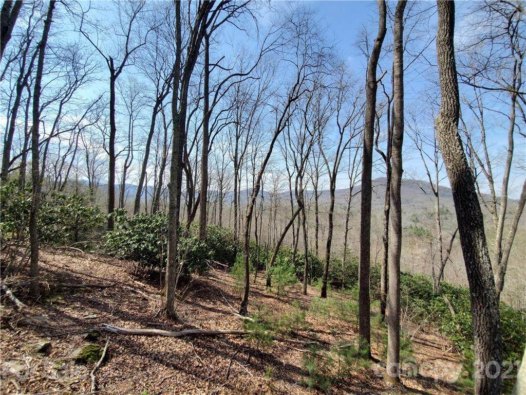 211 Secluded Hills Lane - Photo 1