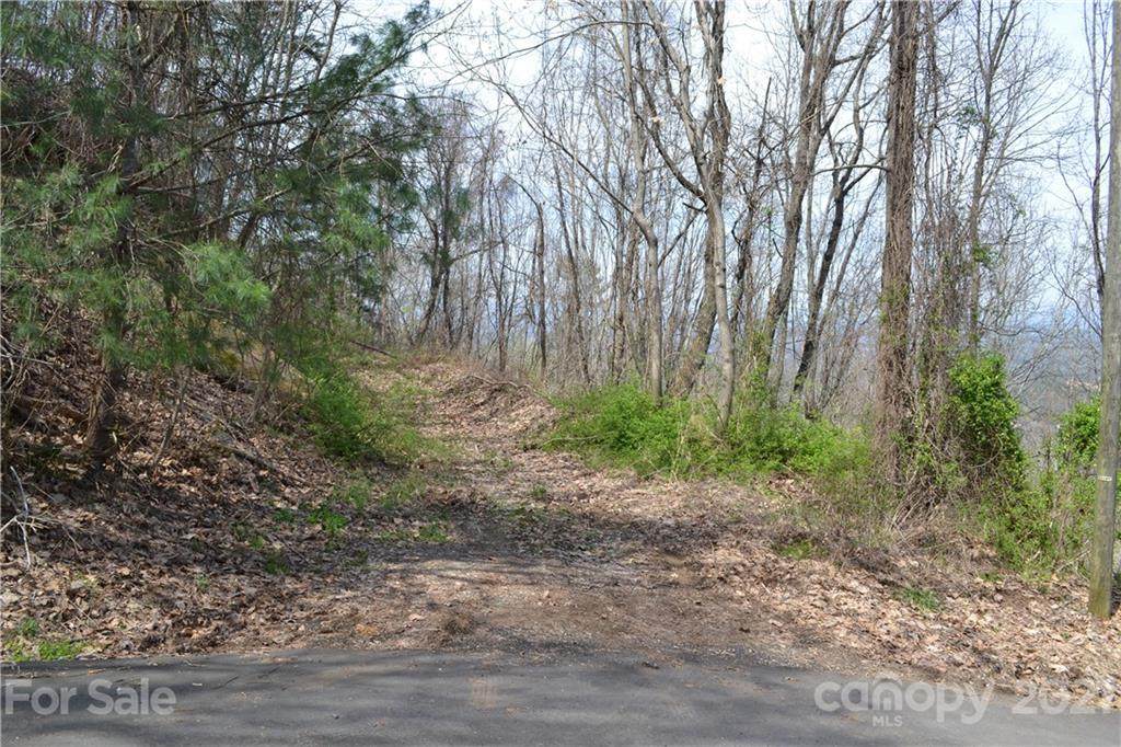 0 Leisure Mountain Road - Photo 1
