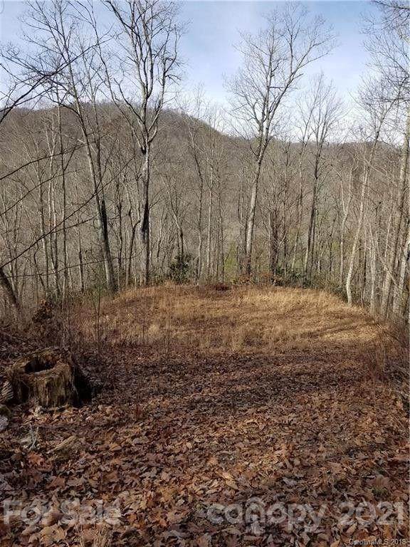 Lot #4 Brush Creek Mountain Road - Photo 1
