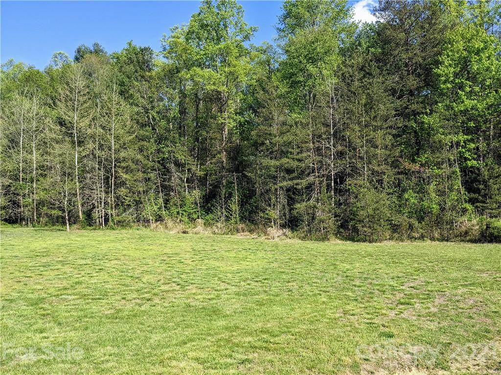 0 Turkey Trace Lane - Photo 1