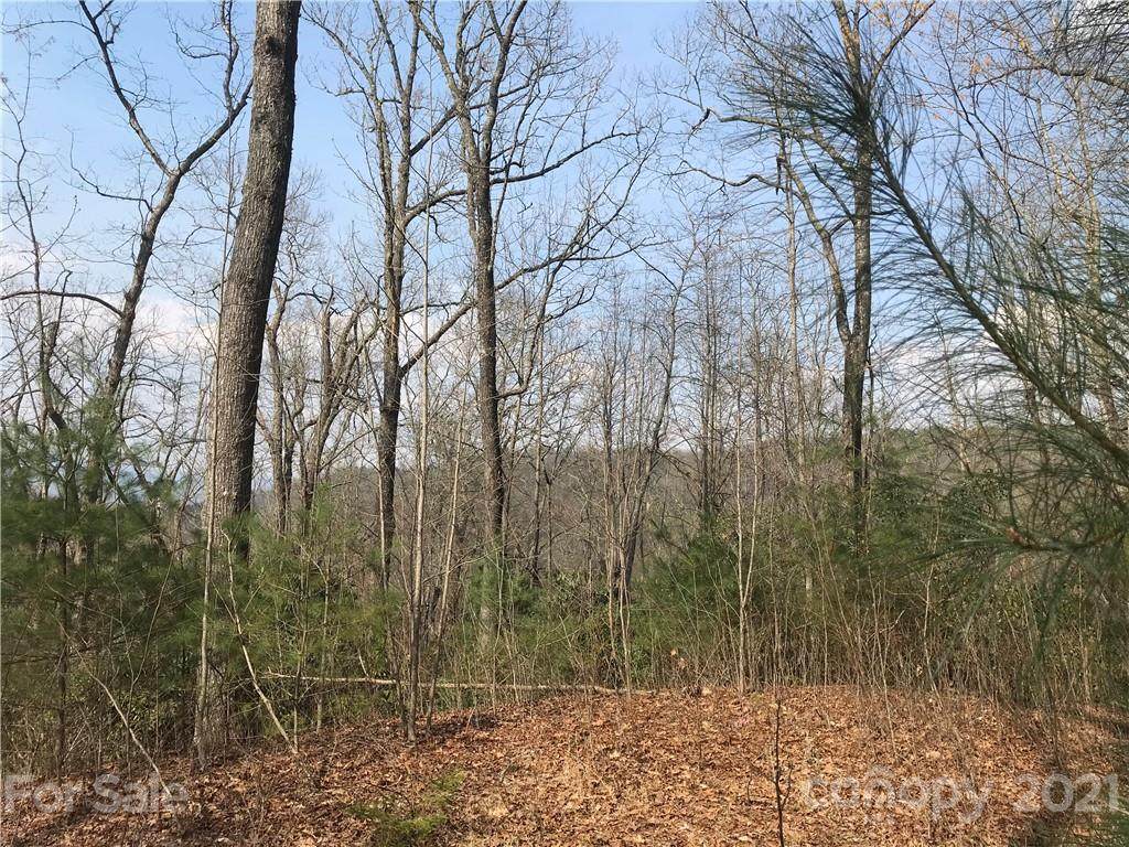 563 Becky Mountain Road - Photo 1