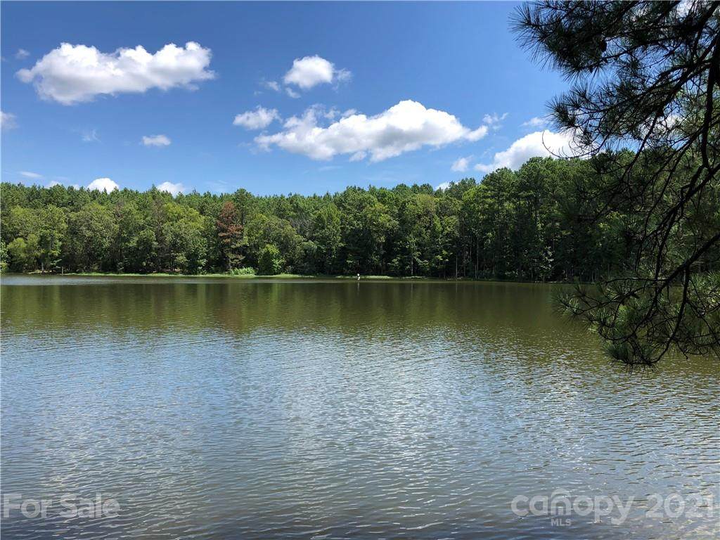 3729 Pearson Road - Photo 1