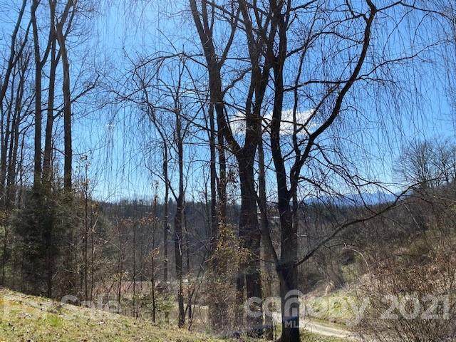 99 Long Branch Road - Photo 1