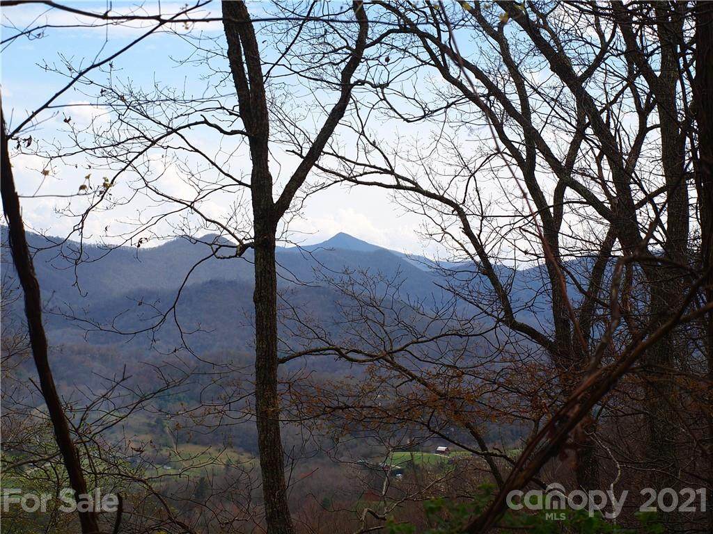 0 Porters Ridge Road - Photo 1