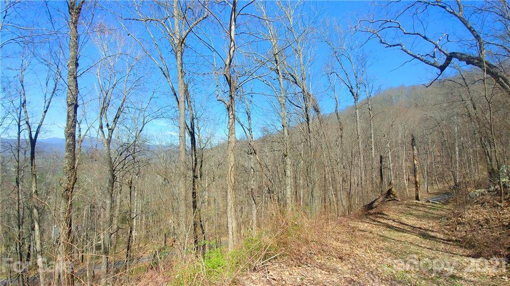 632 Mountain Cove Road - Photo 1
