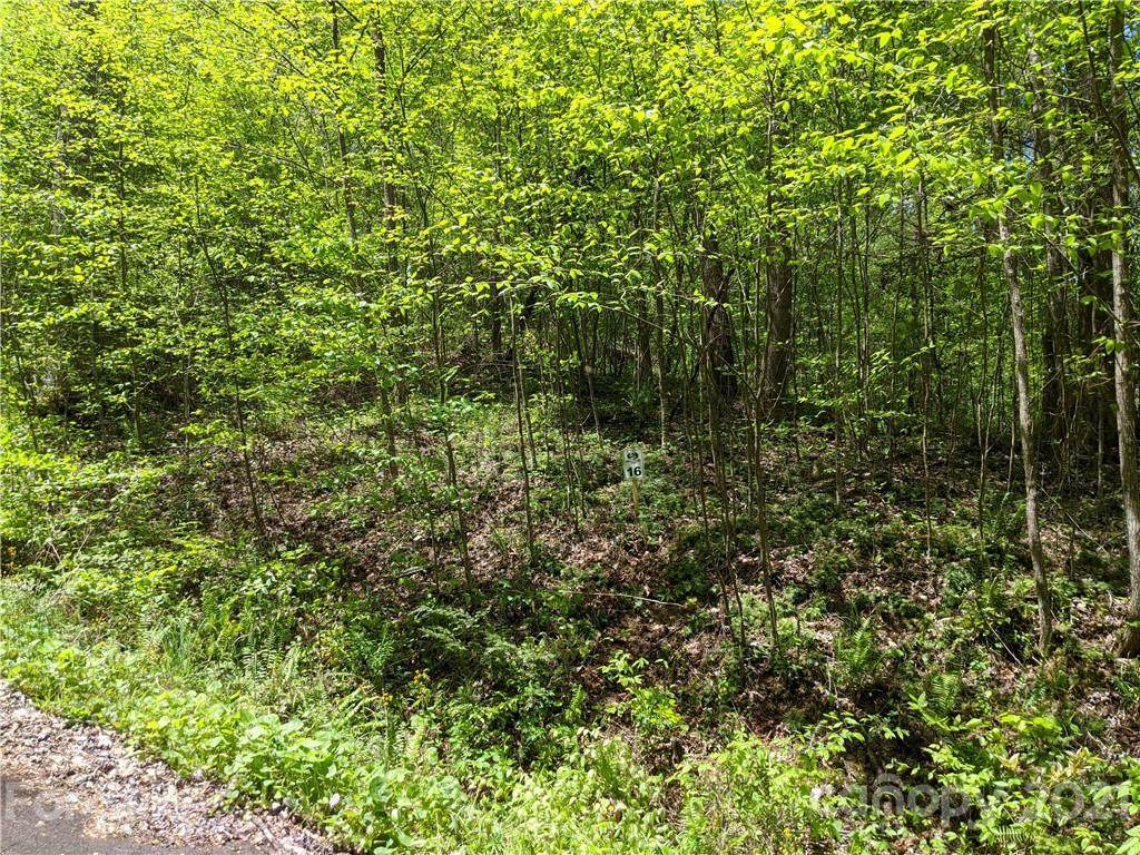 Lot 16 Bear River Lodge Trail - Photo 1