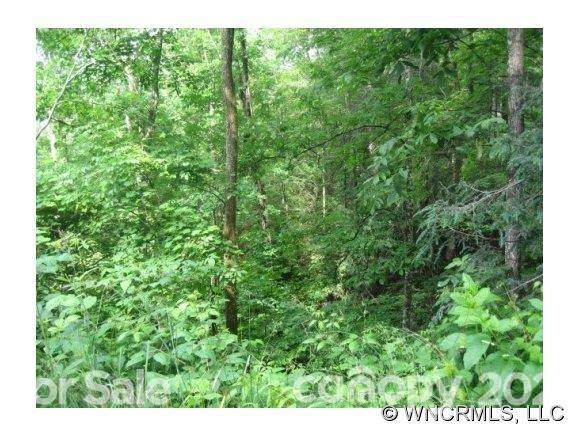 Lot 82 Bear River Lodge Trail - Photo 1
