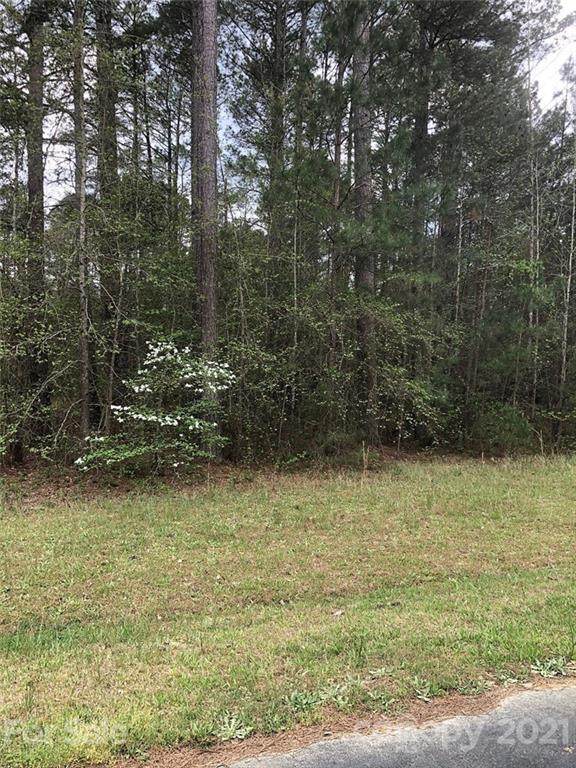 00 Spencer Pointe Road - Photo 1