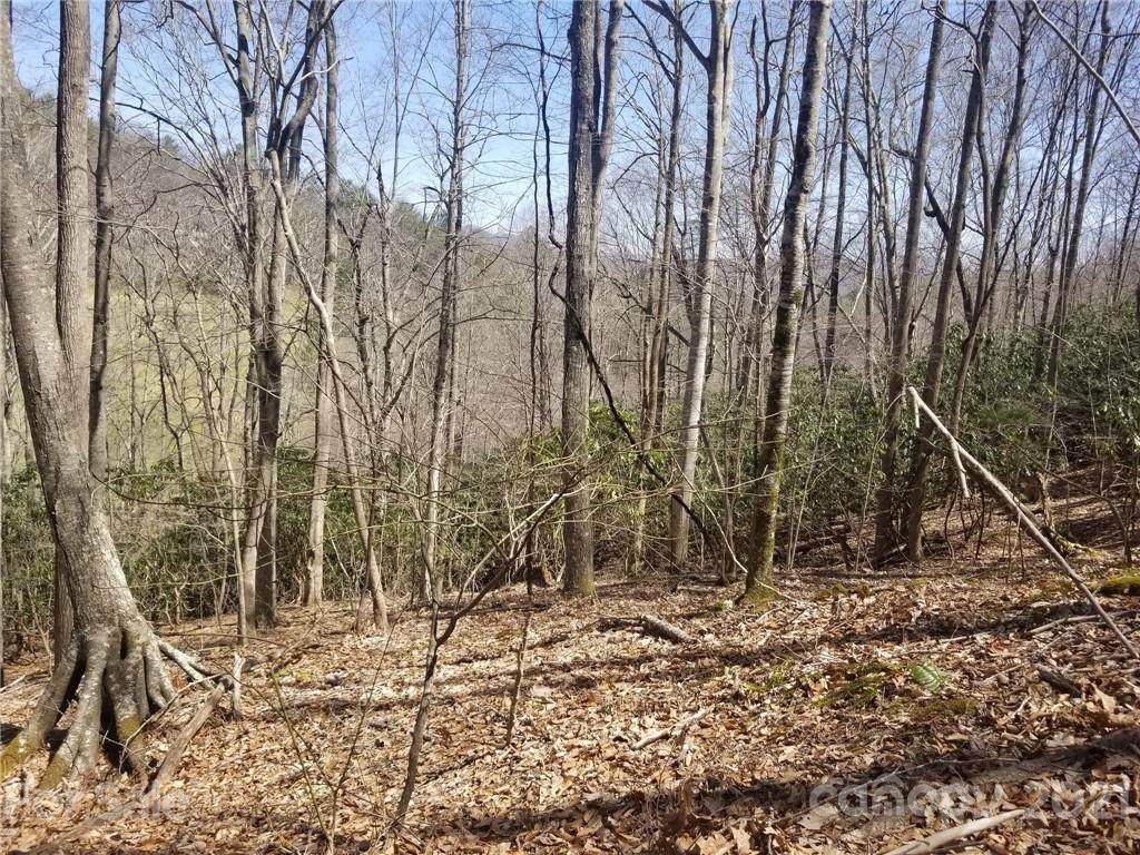 612 Upper Doe Bag Road - Photo 1
